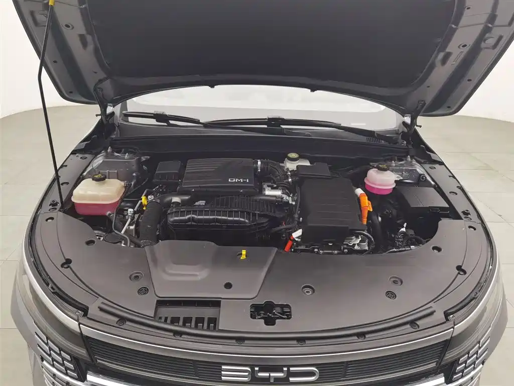 BYD Destroyer 05 2023 Champion Edition DM-i 55KM Luxury фото 6