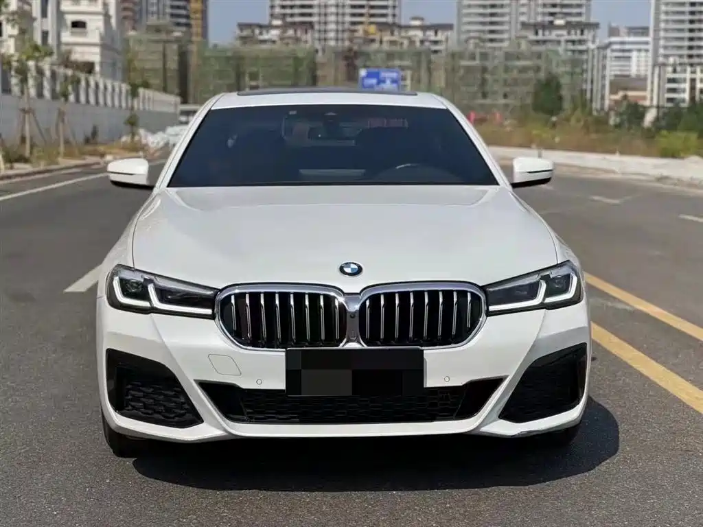 BMW 5 Series 2021 530Li Premium M Sport Package фото 2