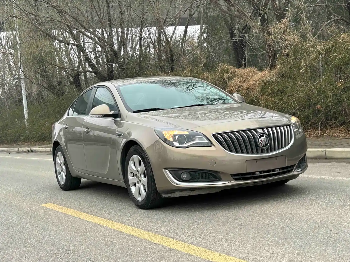 Buick Regal 2015 1.6T Elite Tech Edition фото 11