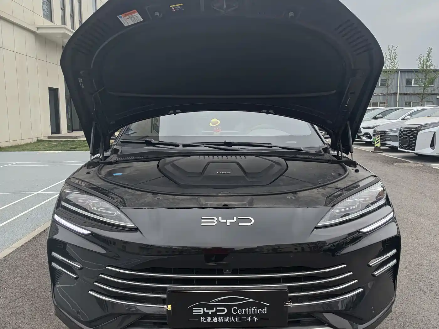 BYD SONGJIANG NEW ENERGY