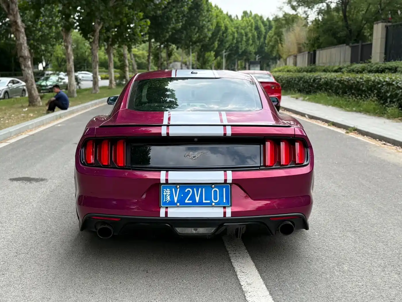 Ford Mustang 2016 2016 2.3T Performance Edition