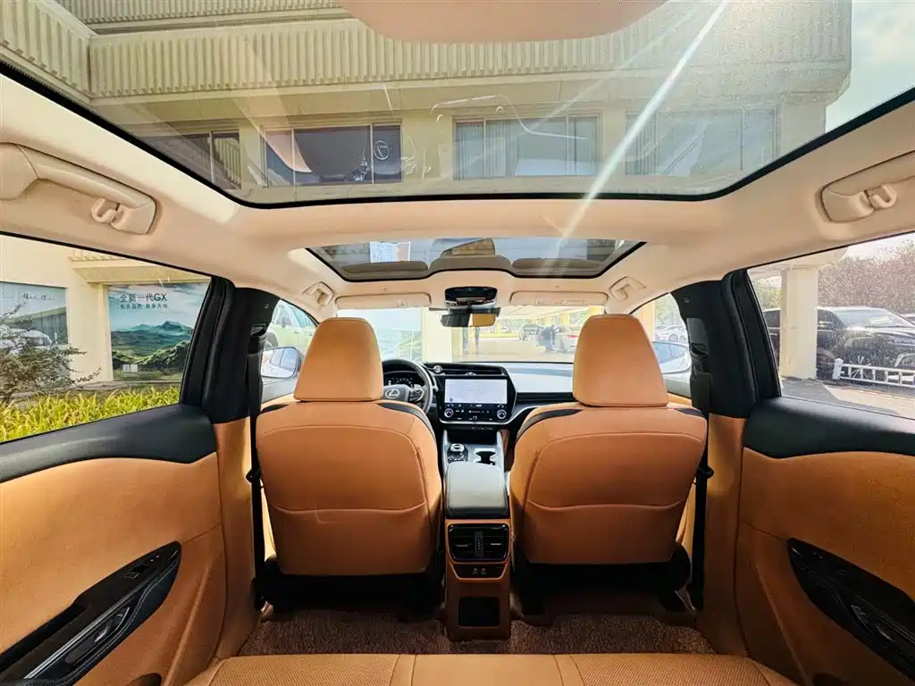 Lexus RZ 2023 450e 4WD Deluxe фото 7