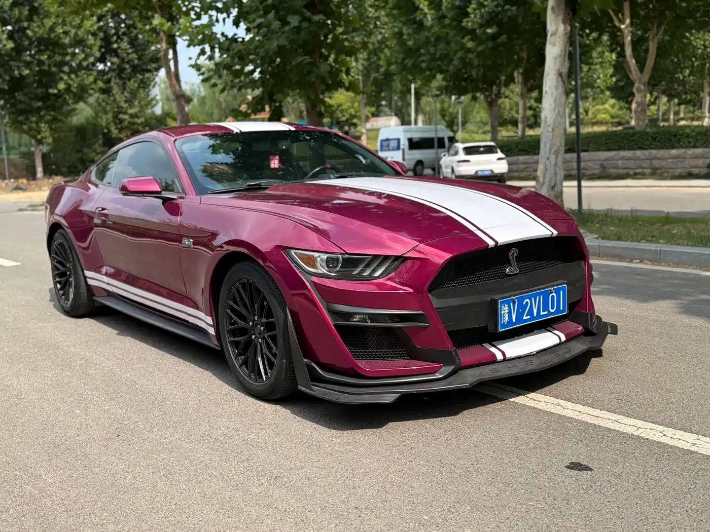 Ford Mustang 2016 2016 2.3T Performance Edition