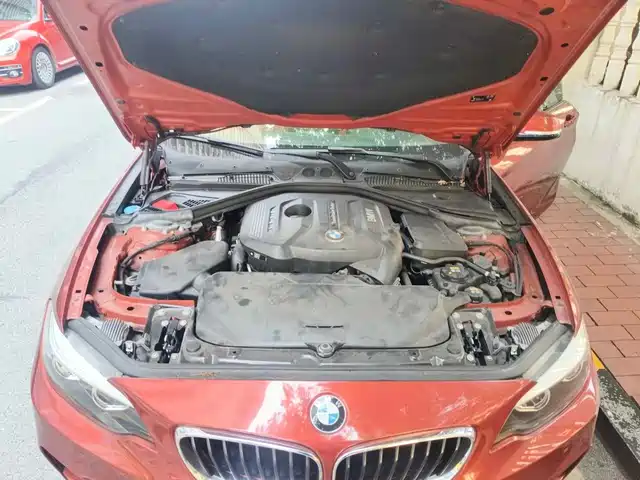 BMW 2 Series (Import) 2018 225i M Sport — фото 3