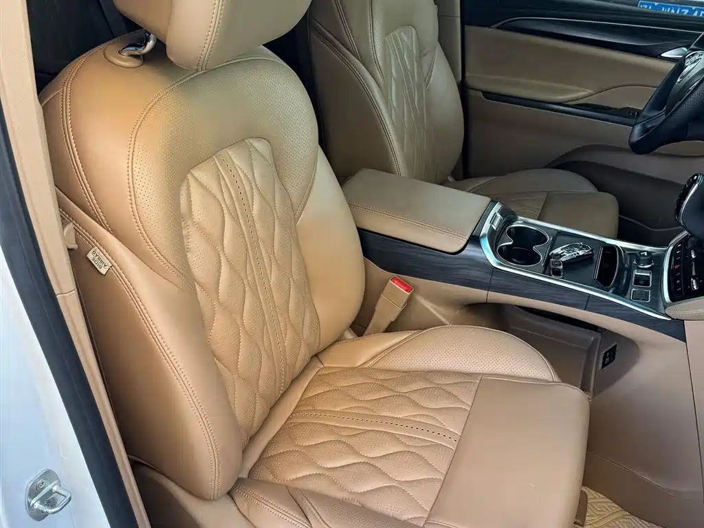 Buick GL8 2021 ES Landlord 653T Premium фото 10