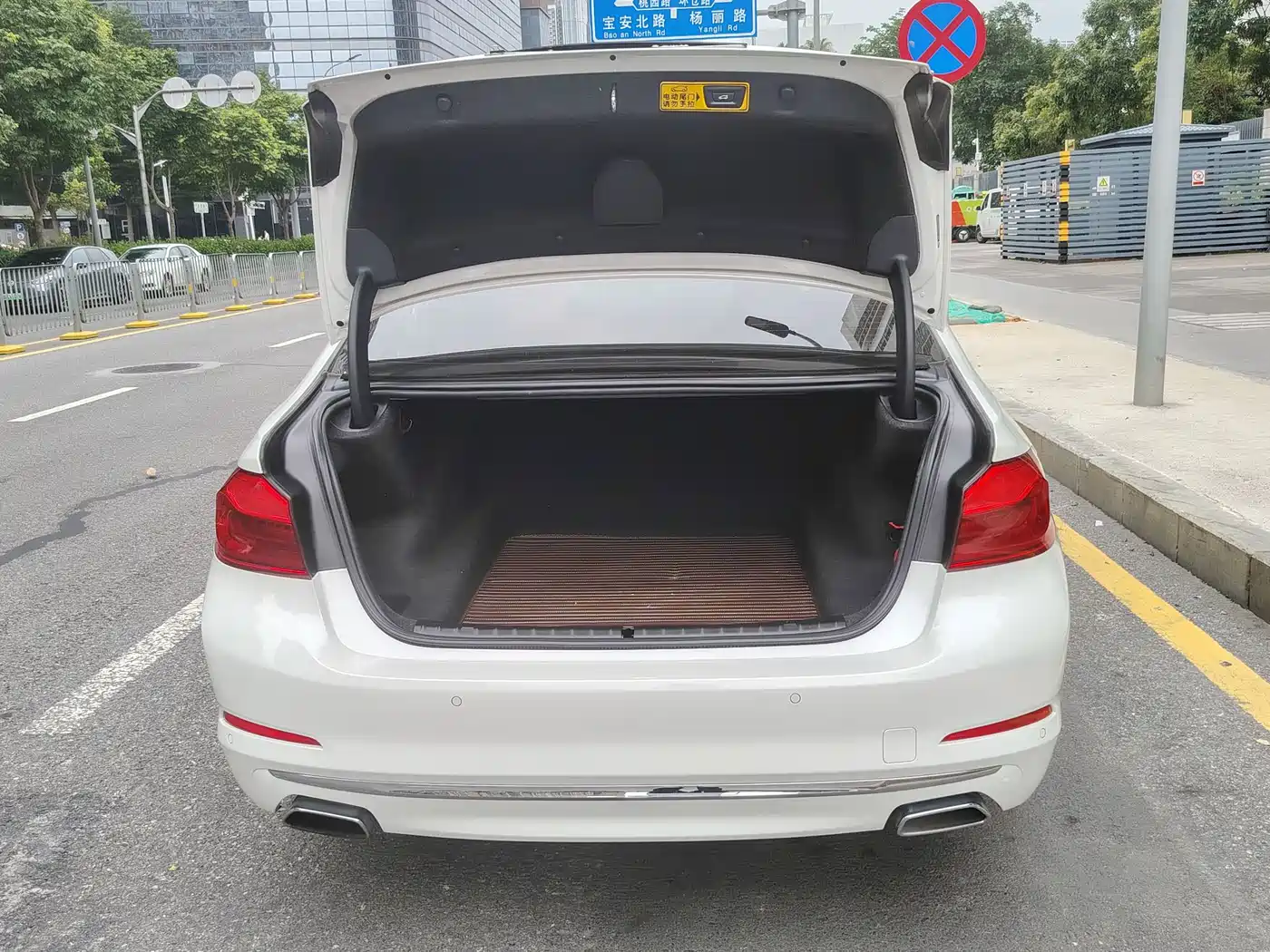 BMW 5 Series 2019 530Li Leading Luxury Package фото 20