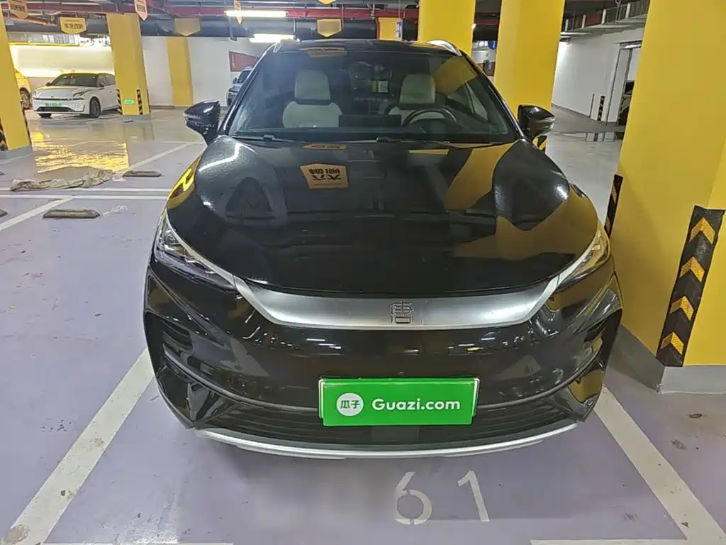 Фото 3 - BYD Tang New Energy