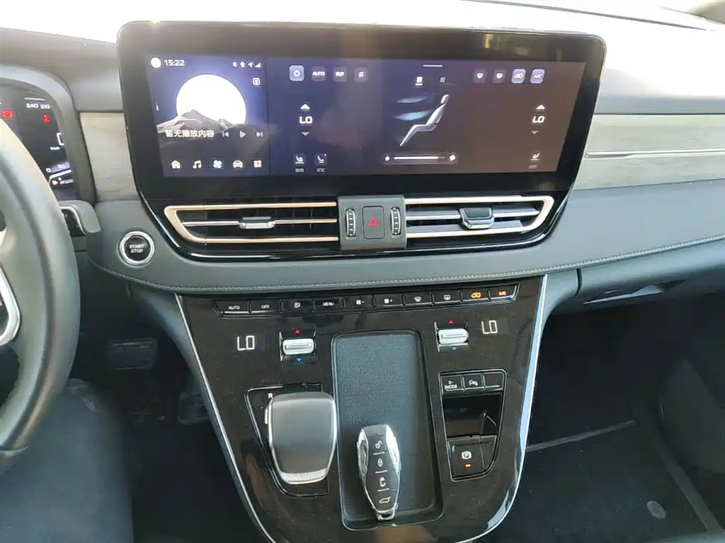 Hongqi HQ9 PHEV 2024 Model 2.0T AWD Business Edition фото 10