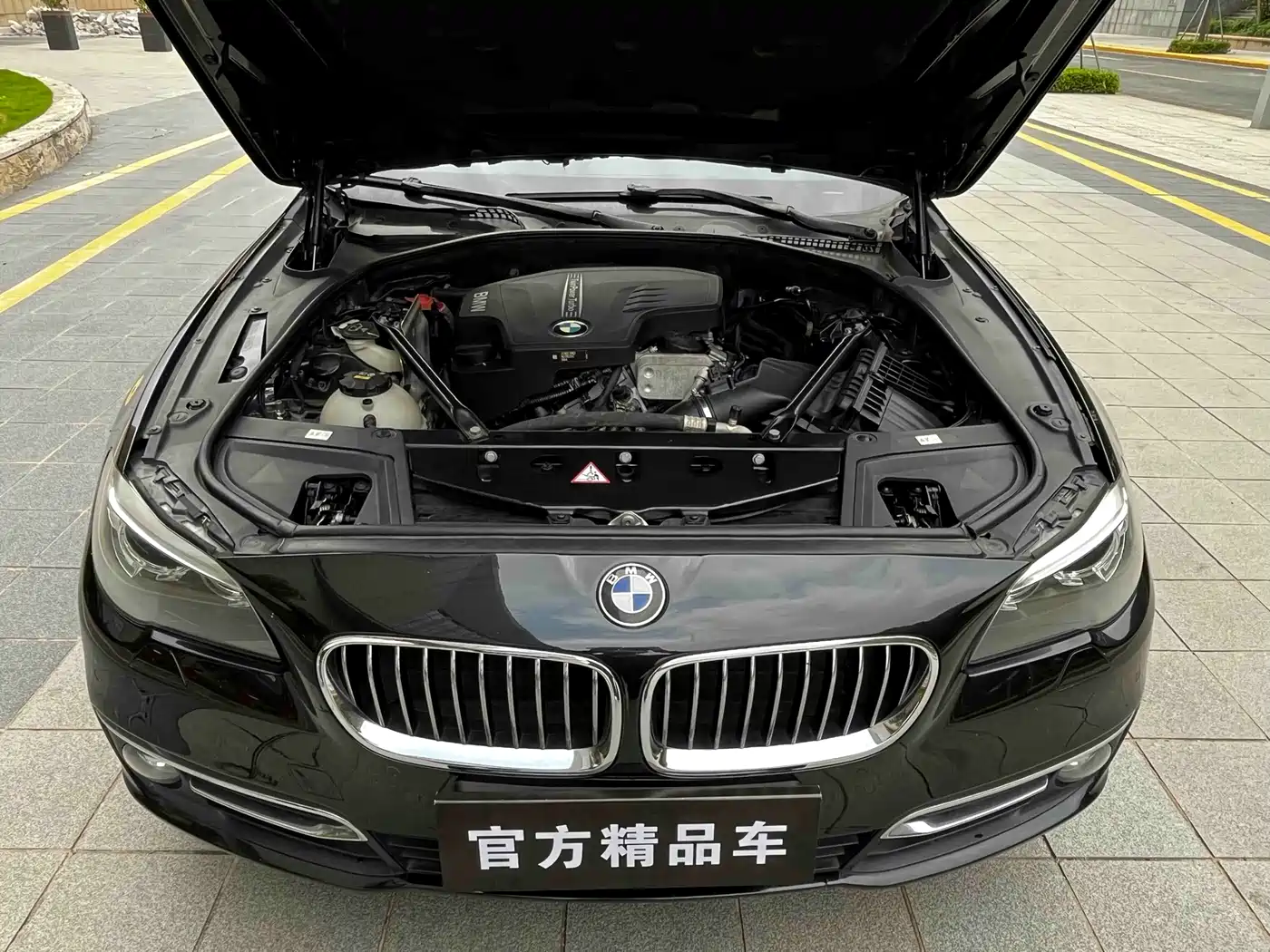 BMW 5 Series 2014 525Li Luxury Design Package фото 19