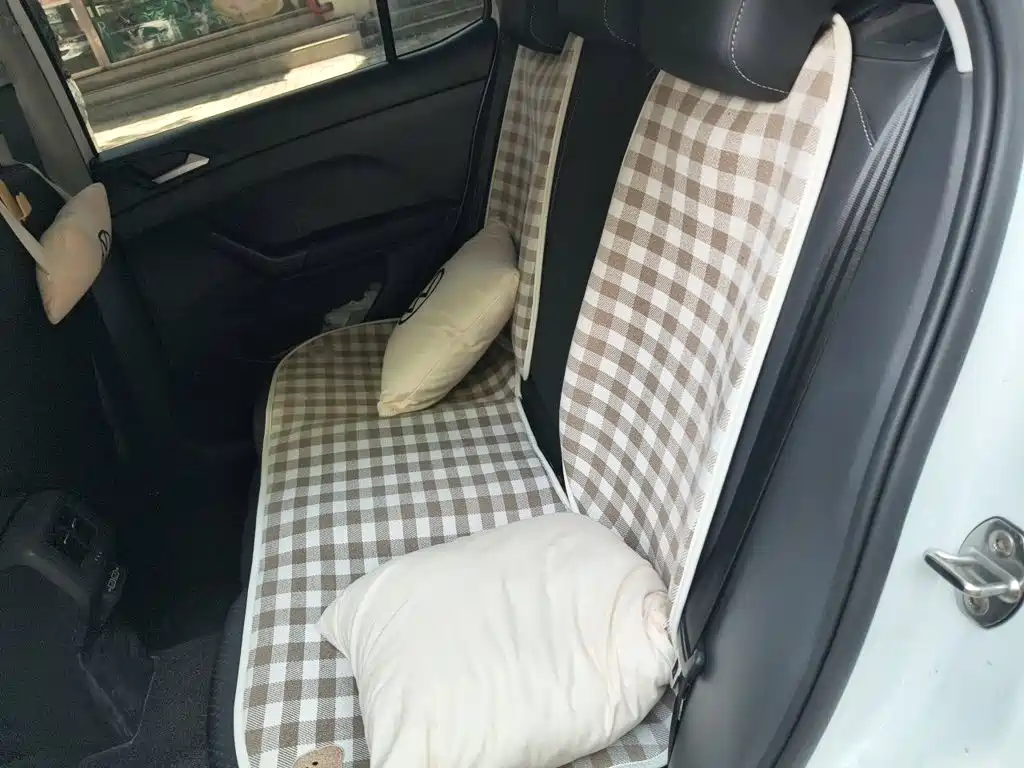 Volkswagen Tanying, миниатюра 15