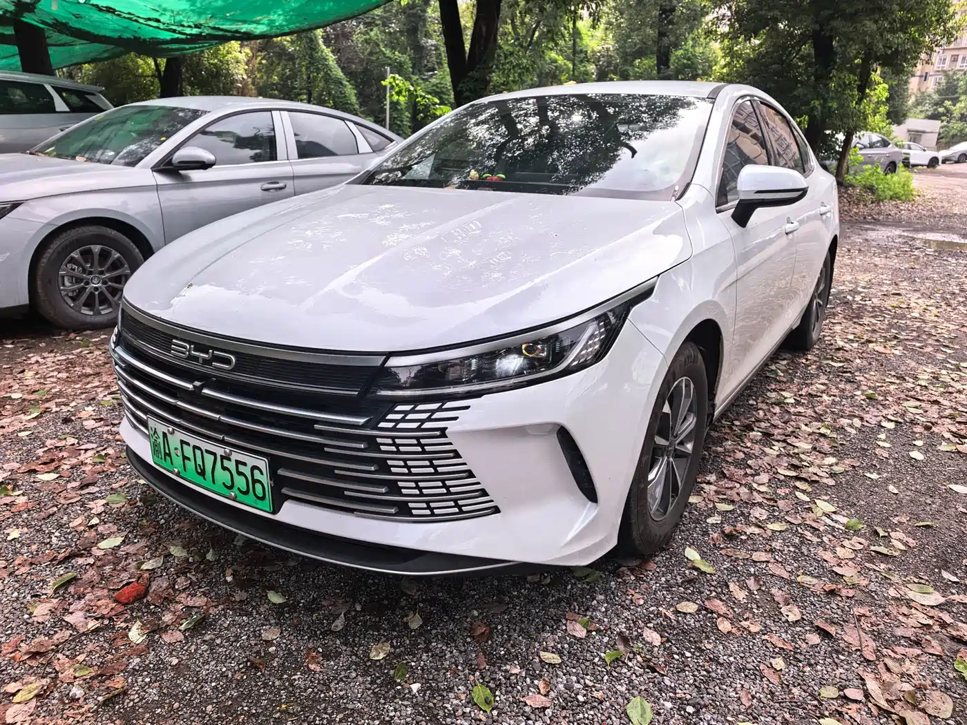 BYD Destroyer 05 2023 Champion Edition DM-i 55KM Luxury