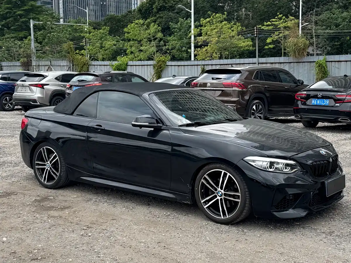 BMW 2 Series (Import) 2019 225i Convertible Coupe Exclusive M Sport Package фото 7