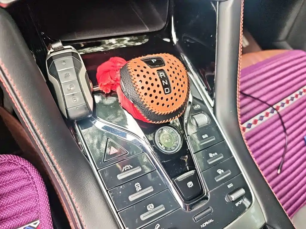 BYD Song PLUS 2020 1.5T Automatic Premium фото 7