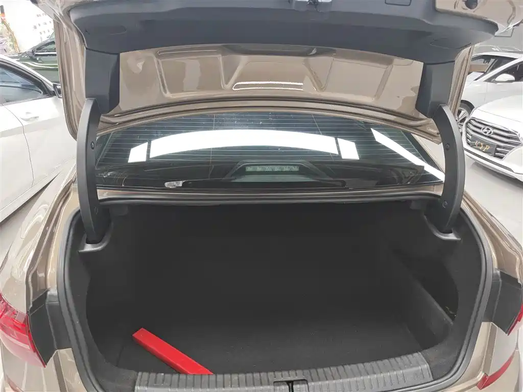 Volkswagen Passat 2019 330TSI Luxury Edition China VI фото 9