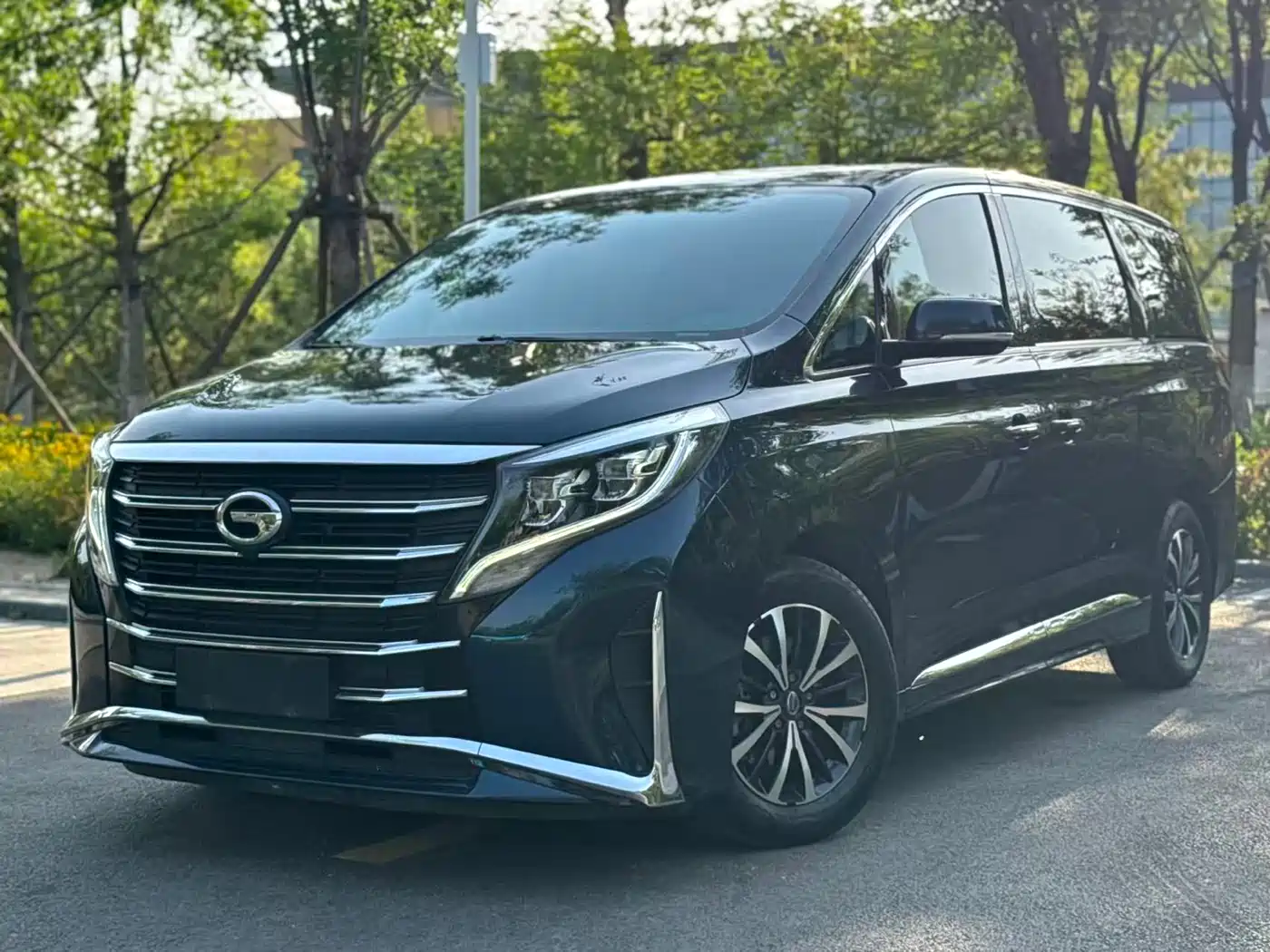 GAC Trumpchi Trumpchi M8 2021 Leading Show Series 390T Premium Edition фото 7