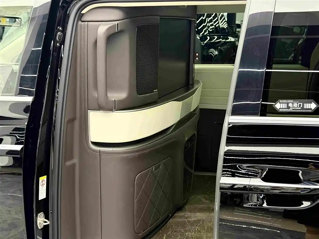 Denza D9 2025 2024 PIONEER 4-Seater Pioneer Edition