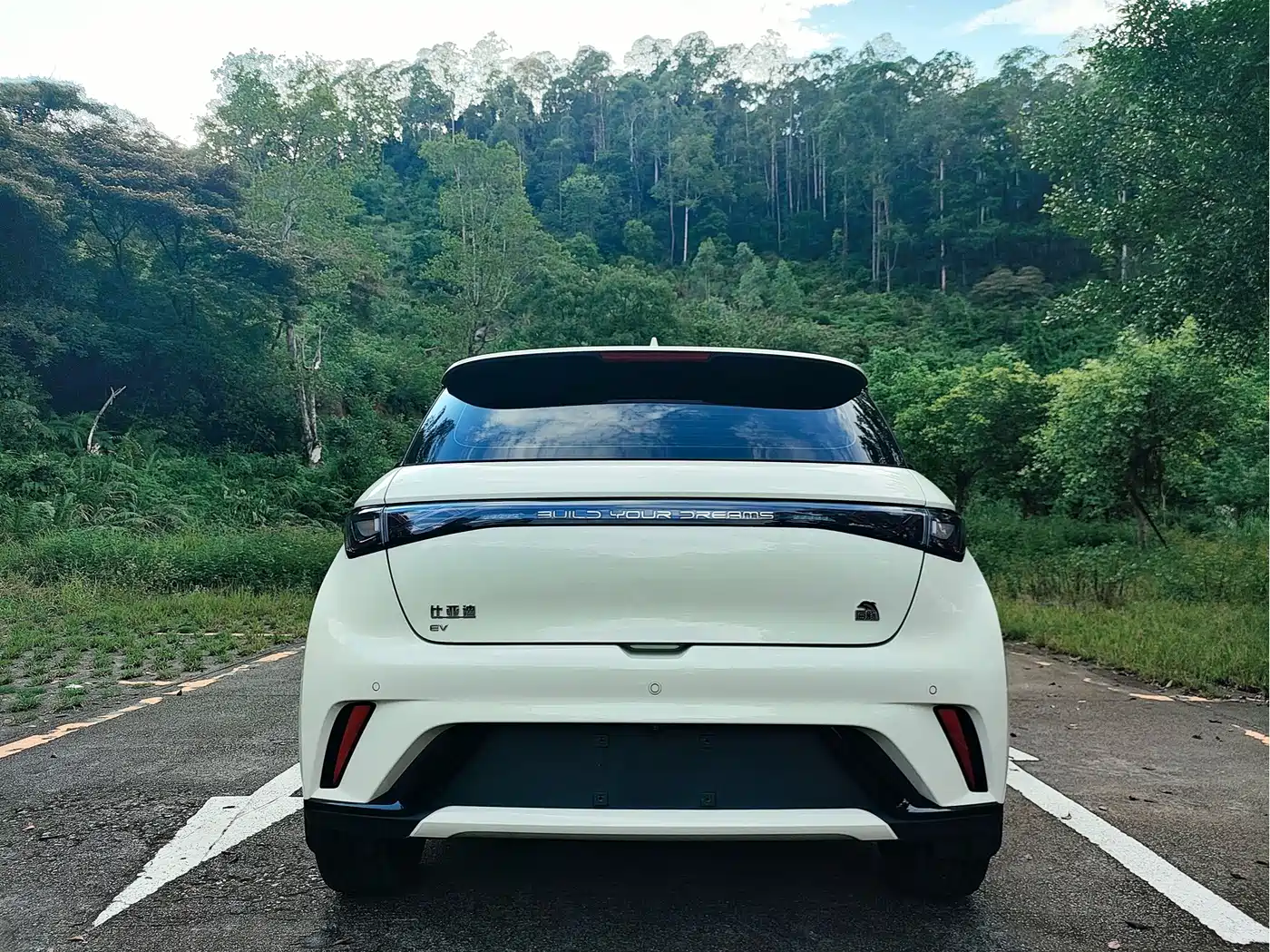 Фото 8 - BYD Dolphin