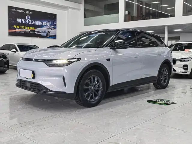 Leapmotor C11 2023 Pure Electric 500 Comfort Edition