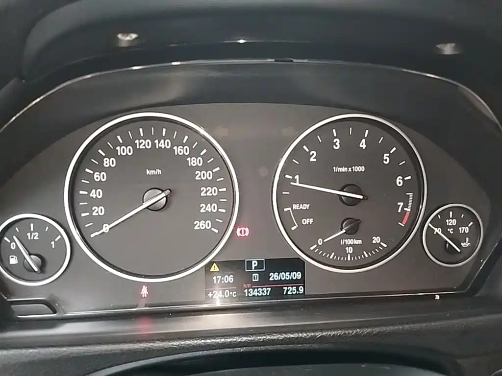 BMW 3 Series 2015 316i Progressive фото 8