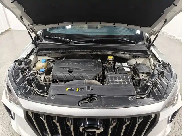 GAC Trumpchi Trumpchi GS4 PLUS 2021 270T Automatic Starlight Edition фото 15