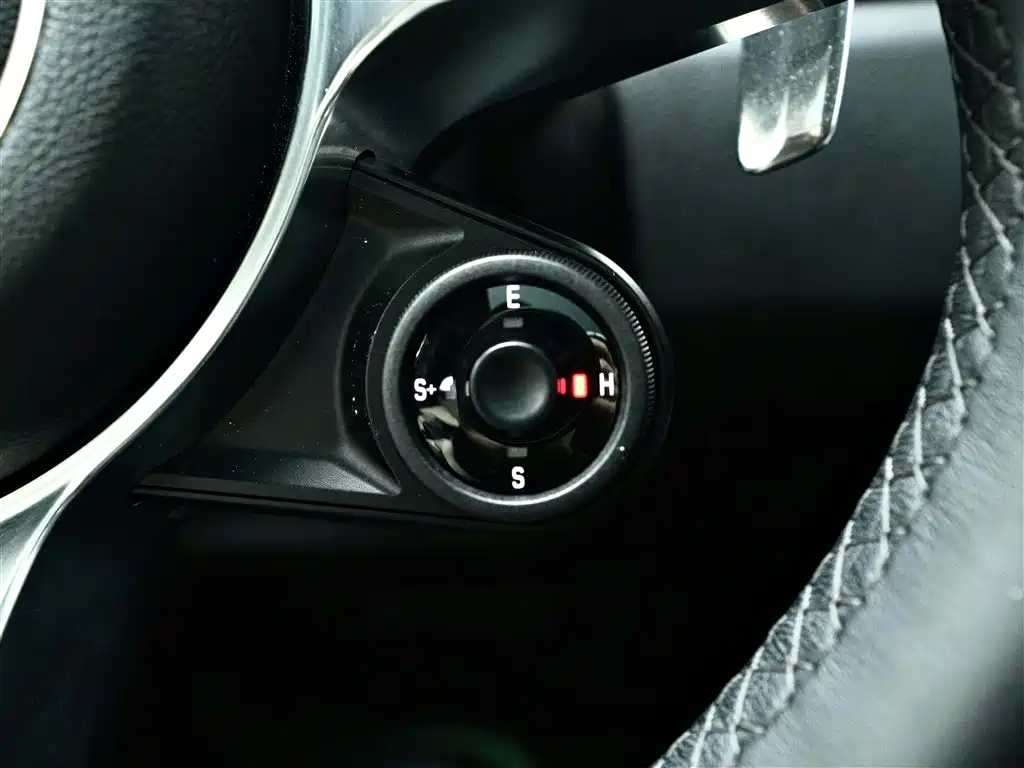 PORSCHE CAYENNE NEW ENERGY