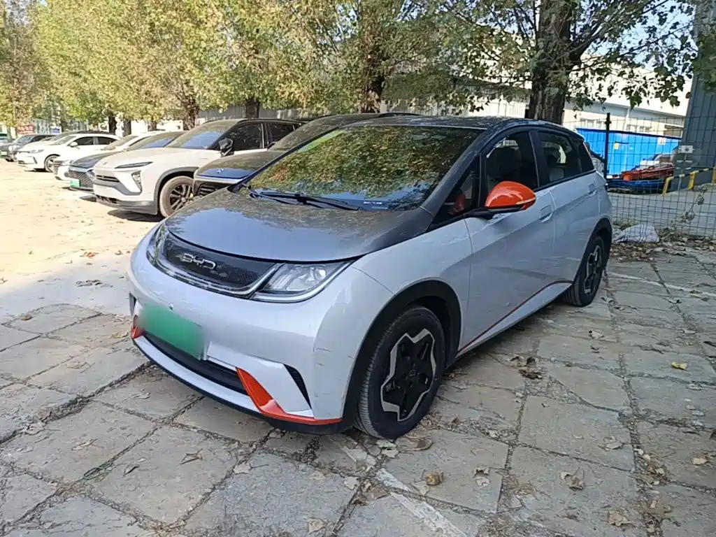 BYD Dolphin 2021 2021 405km Freedom Edition