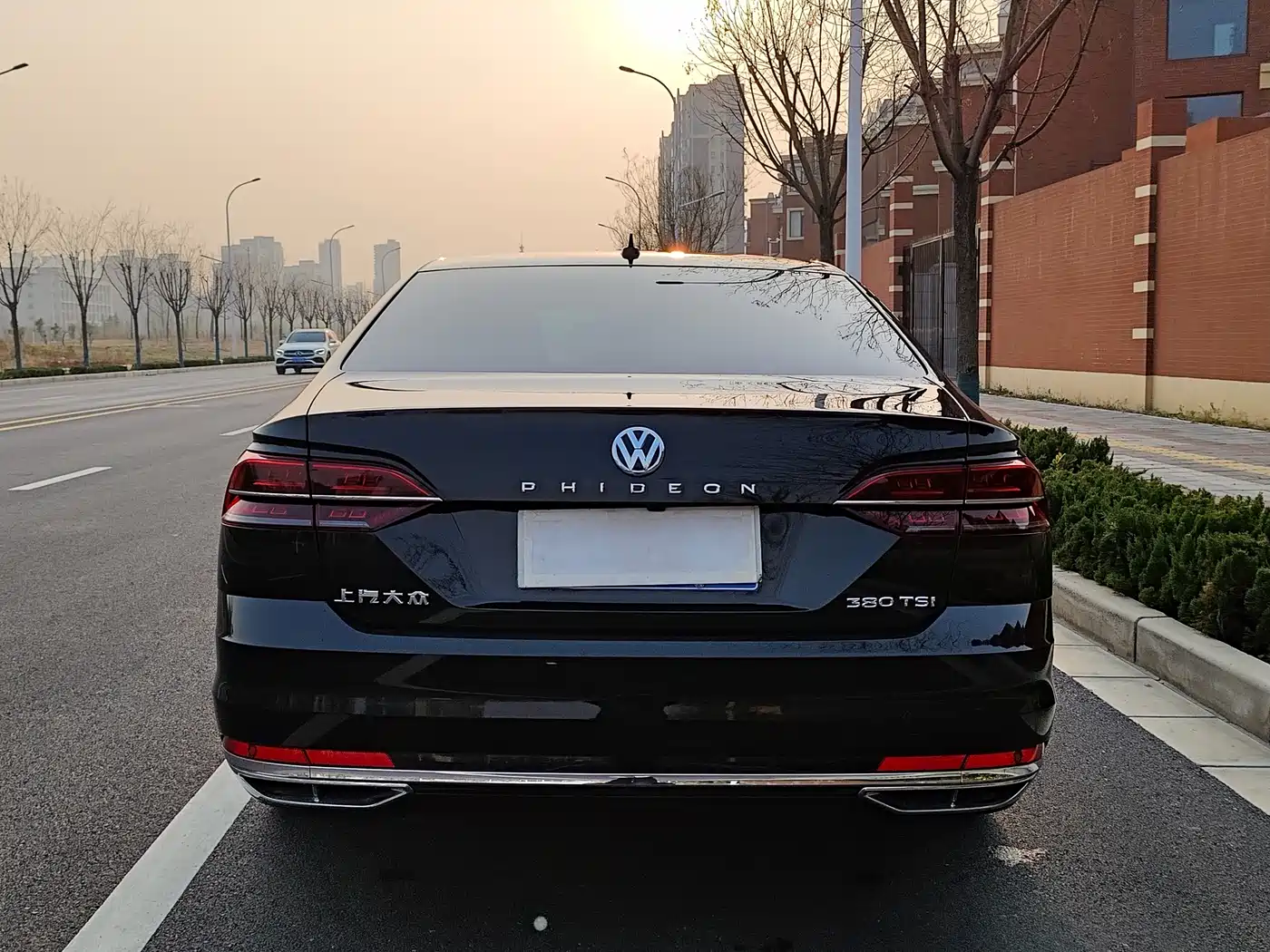Volkswagen Phideon 2019 380TSI 2WD Business Edition China V фото 30