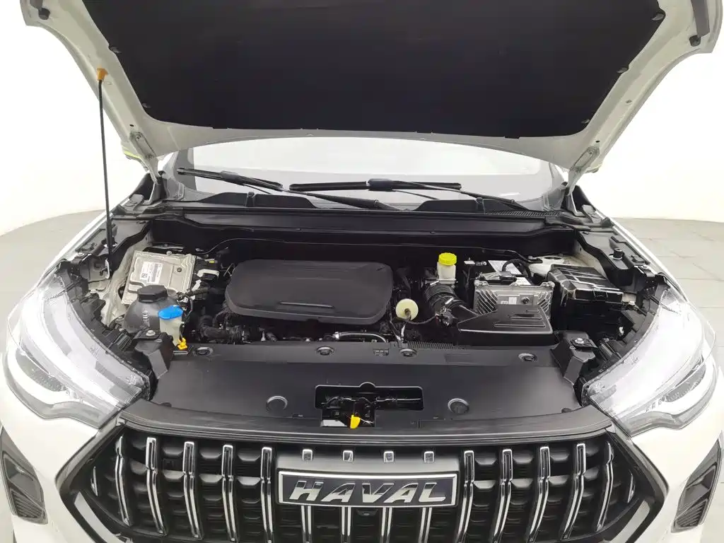 Haval Chitu 2021 2021 Turbo Edition 1.5T Golden Rabbit