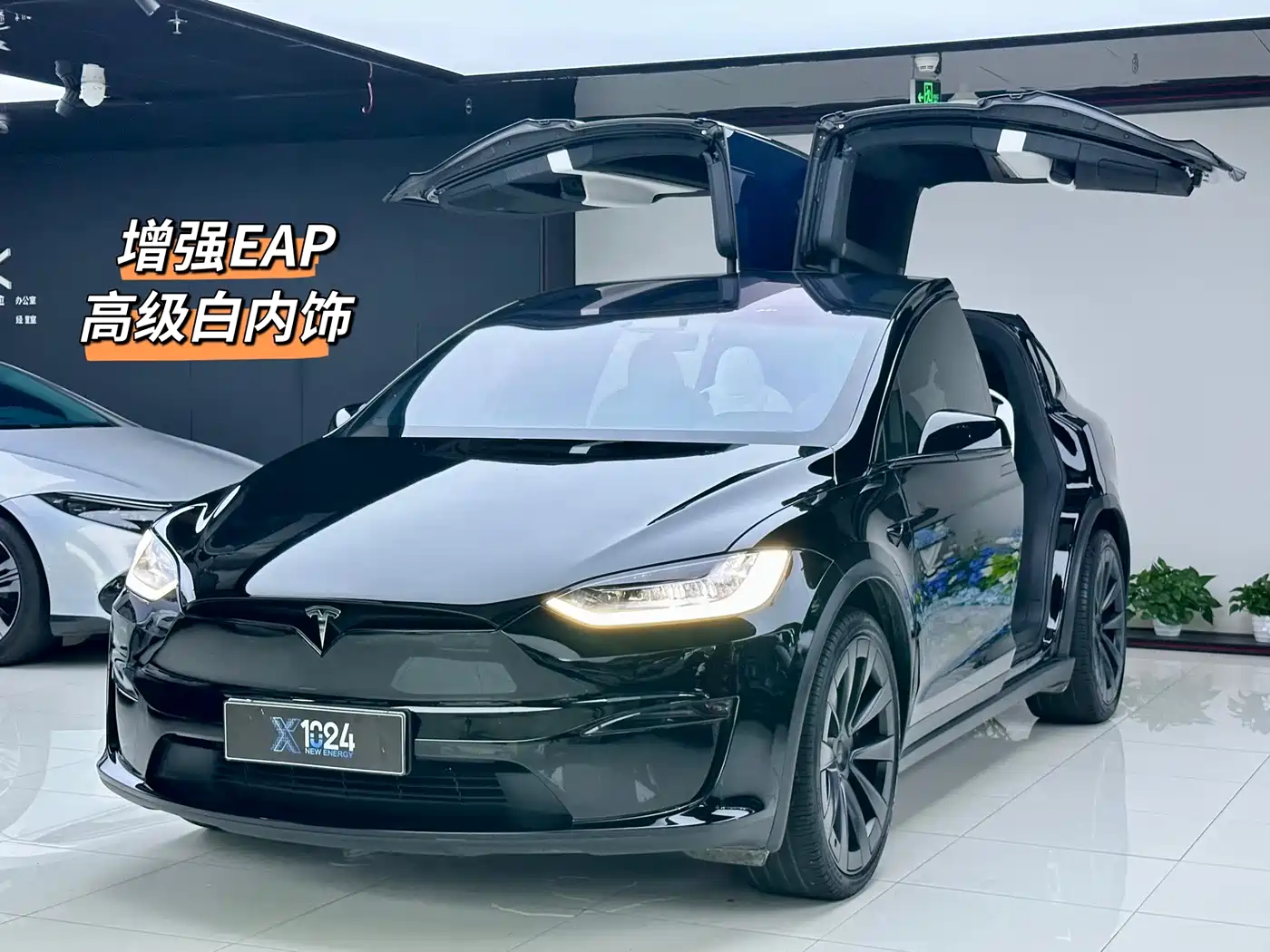 Tesla Model X 2023 2023 Dual Motor All-Wheel Drive Edition