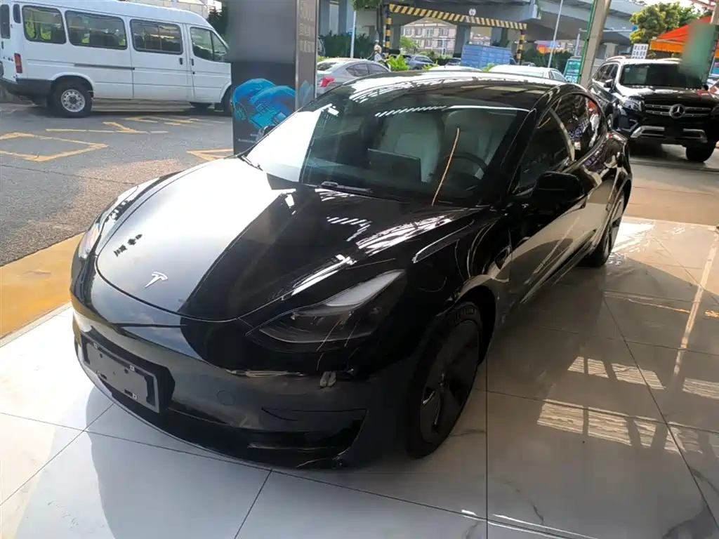 Tesla Model 3 2021 Standard Range Rear-Wheel Drive Upgrade 3D6