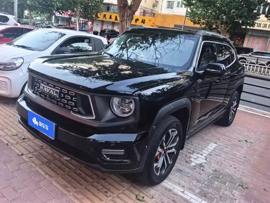 Haval Da Gou 2nd Gen 2023 2023 2.0T 2WD Trendy Off-road Edition Plus