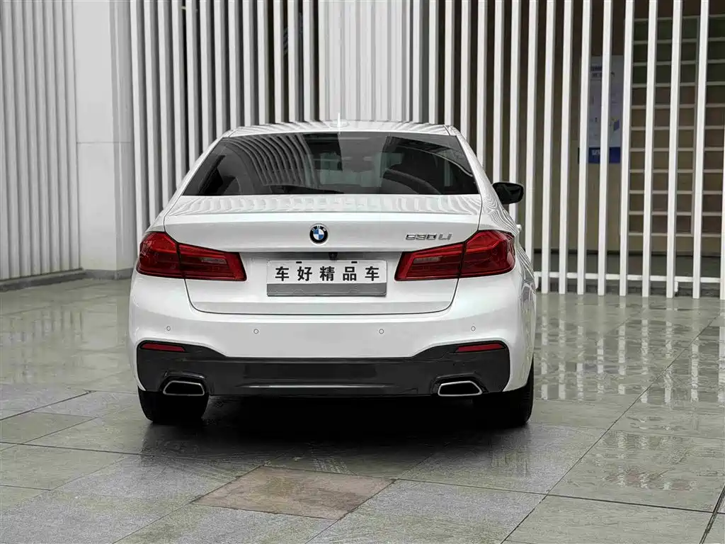 BMW 5 Series 2020 530Li Exclusive M Sport Package фото 16