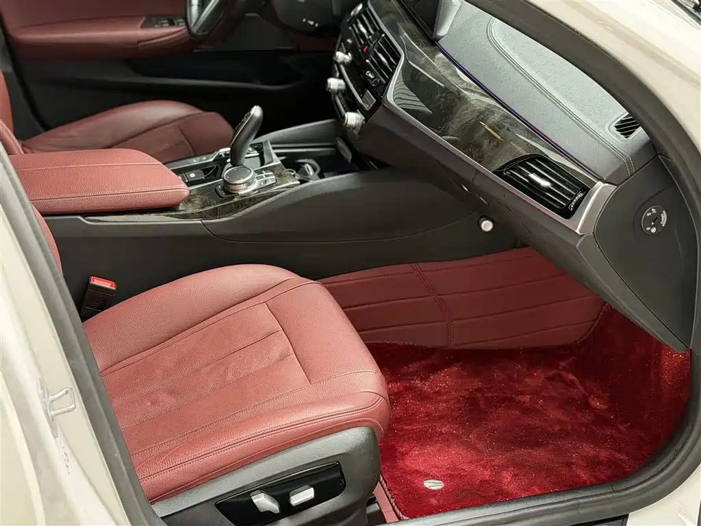 BMW 5 Series 2020 530Li Exclusive M Sport Package фото 11