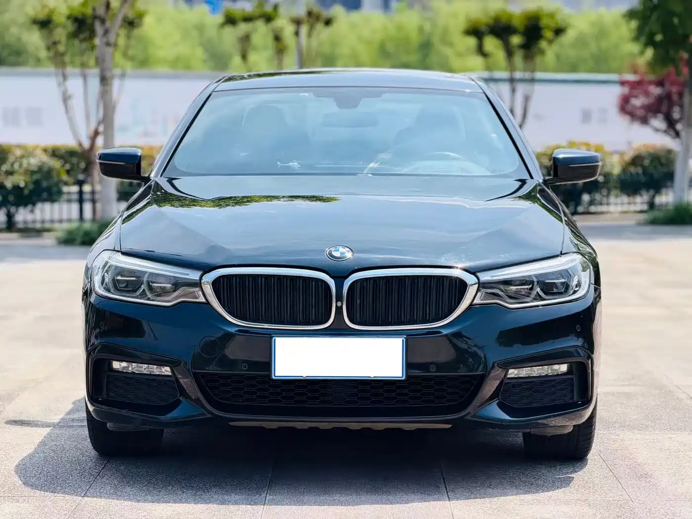 BMW 5 Series 2018 530Li Premium M Sport Package фото 2