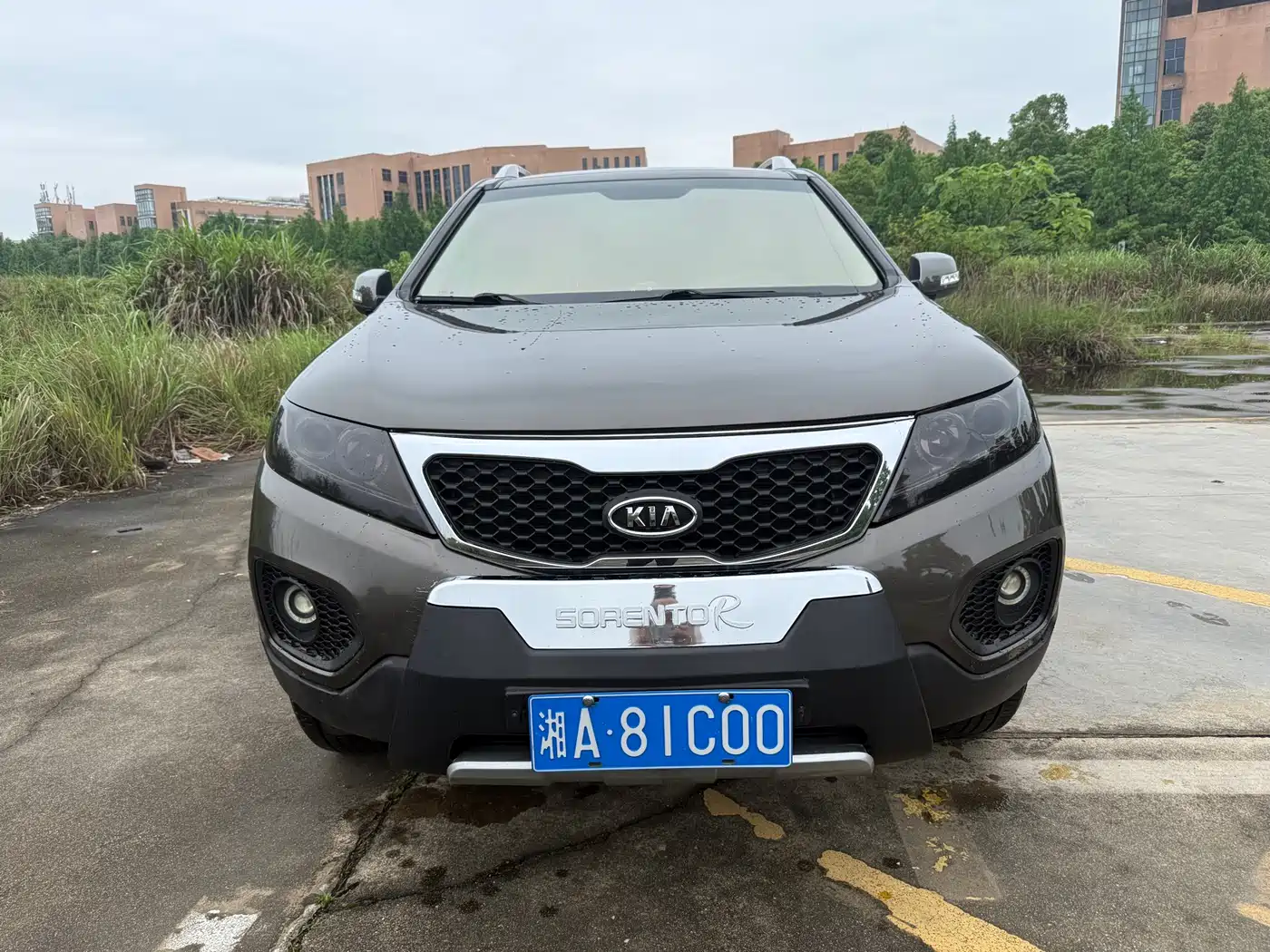 Kia Sorento 2009 2.4L Luxury Edition фото 2