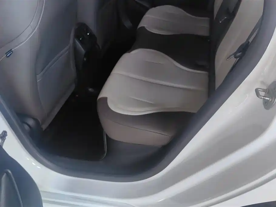 BYD Qin PLUS 2023 Champion Edition DM-i 55KM Leading фото 11