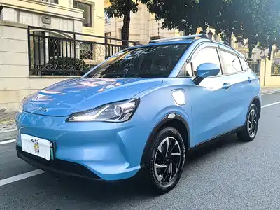 Neta V