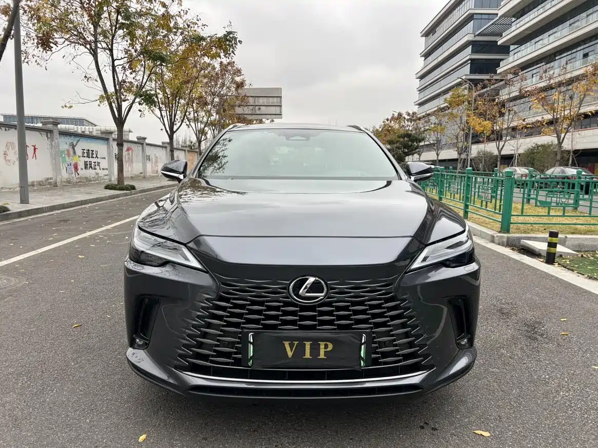 Lexus RX New Energy 2023 450h+ 4WD Enjoyment фото 3