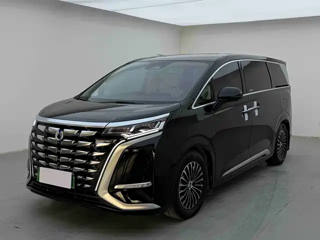 Denza D9 2024 DM-i 980 AWD Flagship