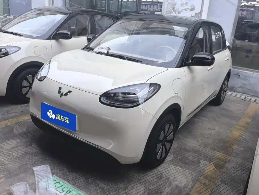 Wuling Motors Wuling Bingo 2026 2025 Model 333km Joy Edition