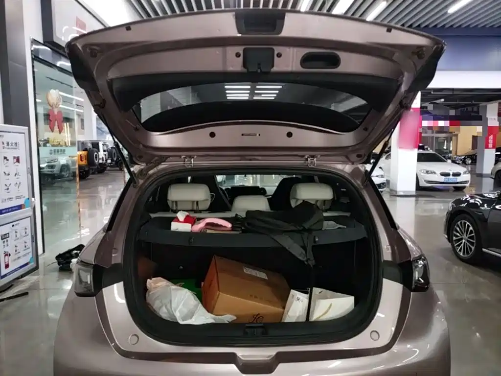 BYD Dolphin 2021 Model 405km Fashion Edition фото 15