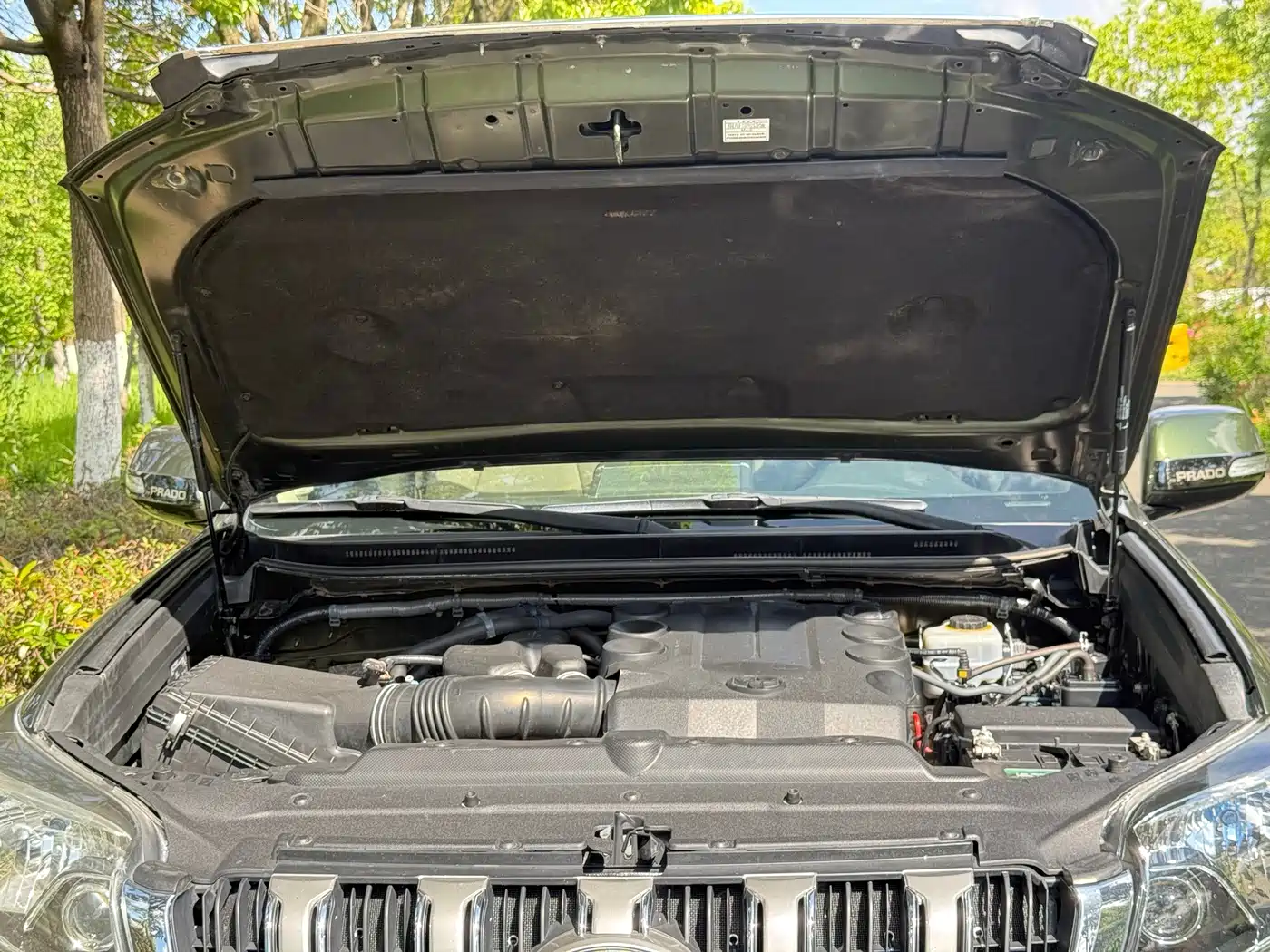 Photo 17 - Toyota Prado