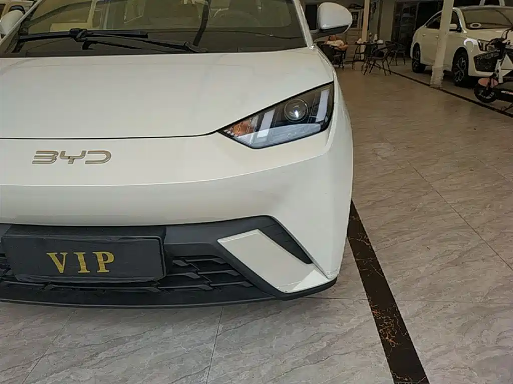 BYD Seagull 2025 305km Vitality фото 24