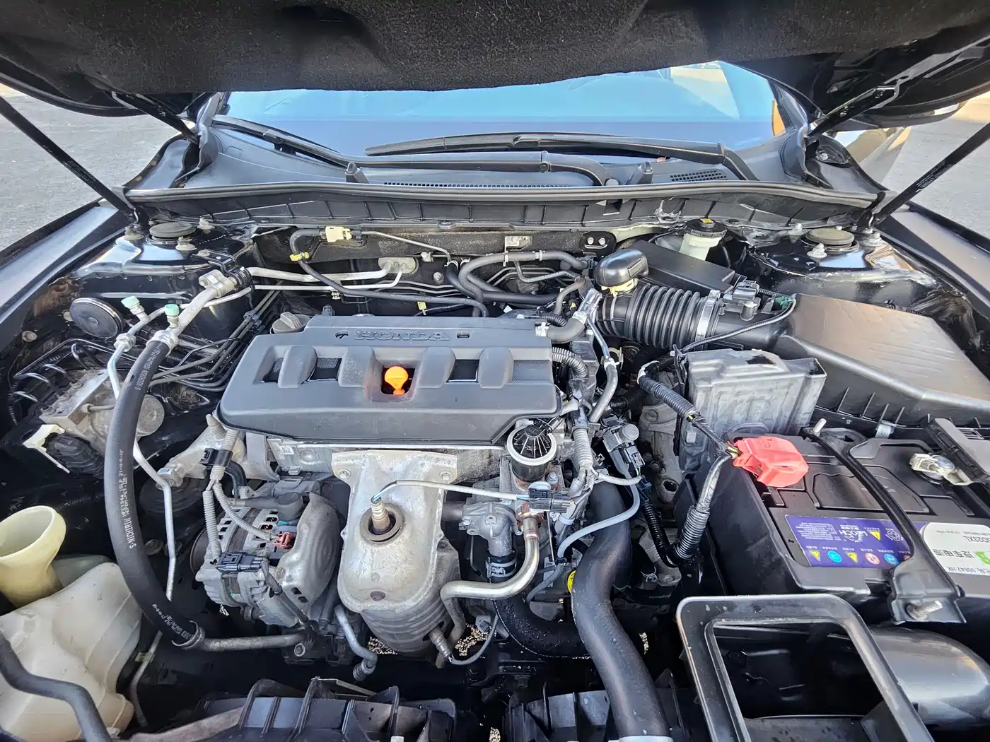 Honda Accord 2014 2.0L LX Comfort Edition фото 13