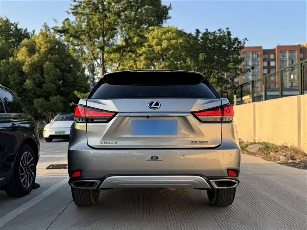 Lexus RX 2020 Facelift 300 2WD Elite Edition фото 11
