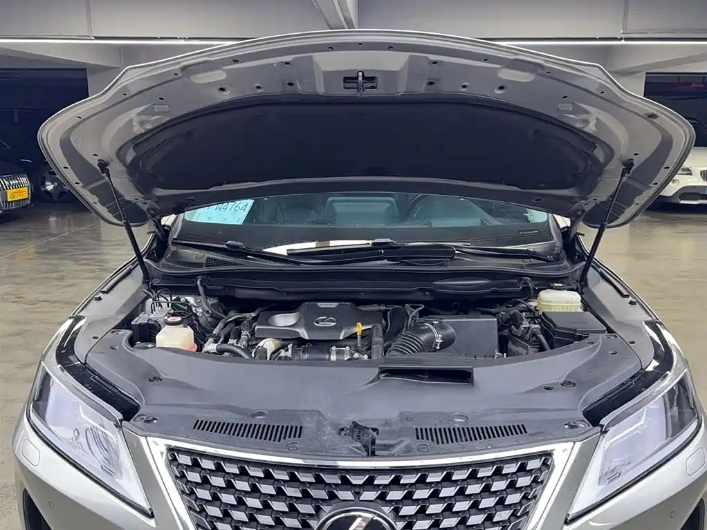 Lexus RX 2020 Facelift 300 2WD Elite Edition фото 15