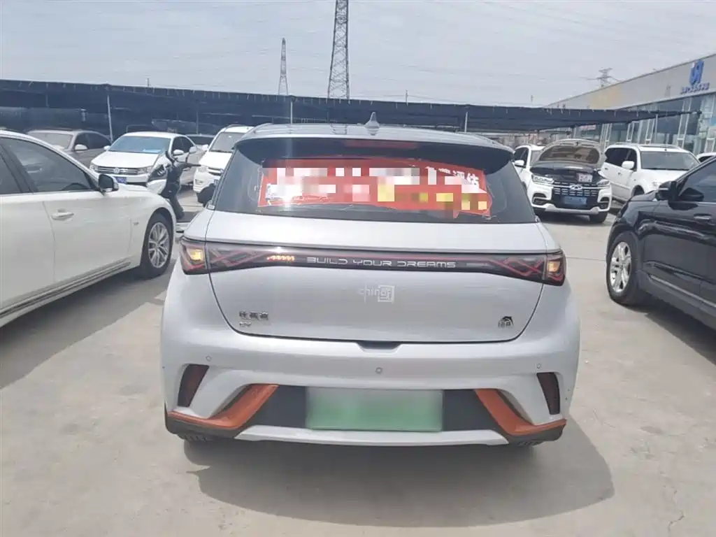 BYD Dolphin 2021 Model 405km Fashion Edition фото 6