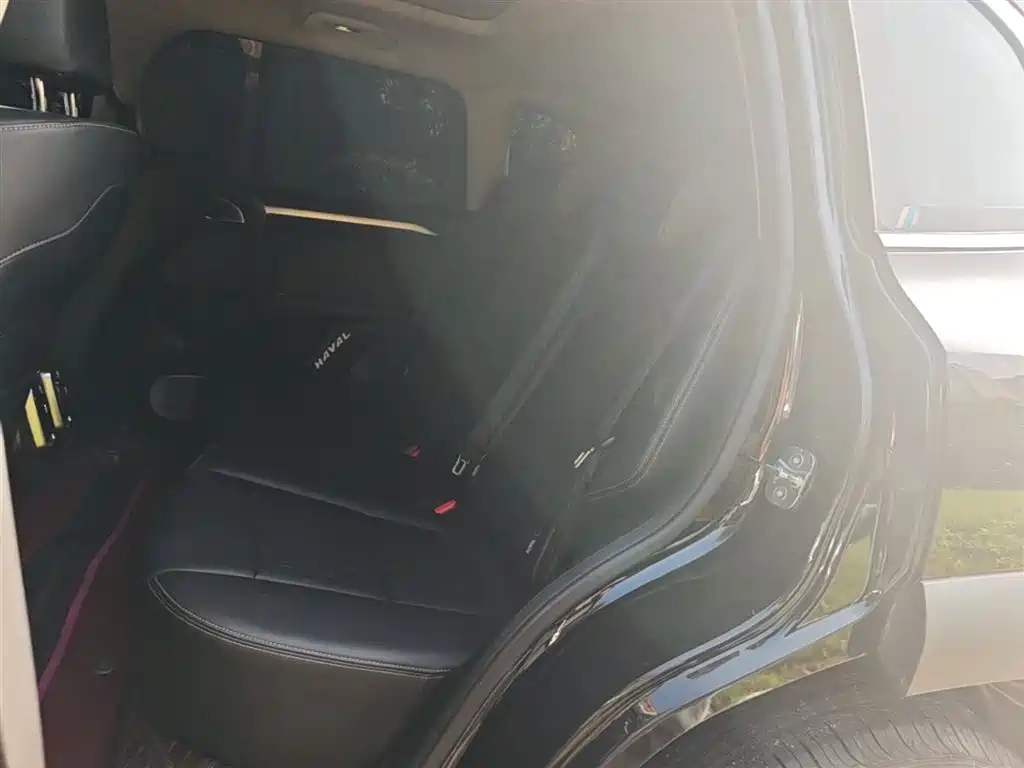 Haval Big Dog 2021 1.5T DCT 2WD Malinois Edition фото 13
