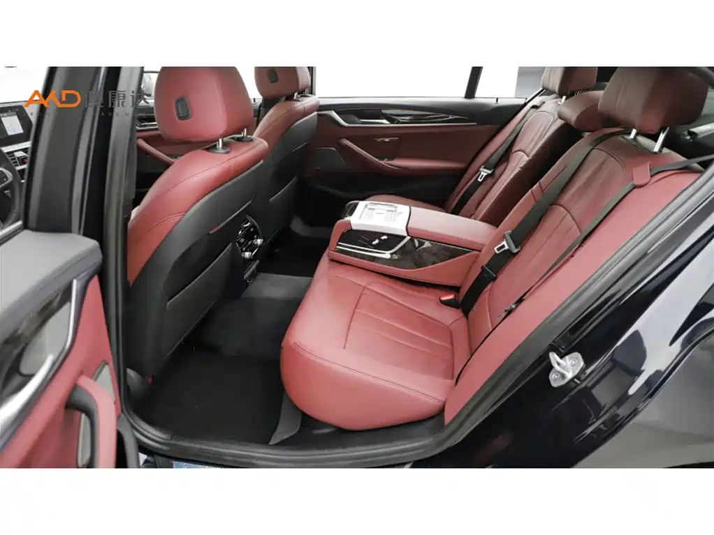 BMW 5 Series 2019 Facelift 530Li Premium M Sport Package фото 7