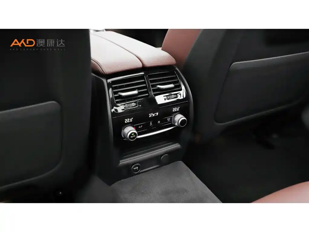 BMW 5 Series 2019 Facelift 530Li Premium M Sport Package фото 9